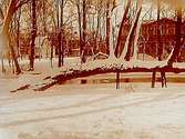 Slottsparken, sneda pilen i snö.