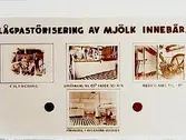 Örebro Ortens Mejeriförening, interiör.
Lågpastörisering av mjölk.