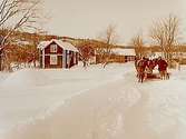 En och en halvvånings bostadshus och ekonomibyggnader. Snöplog spänd för två hästar, tre män.
Vägen mot Moshyttan.