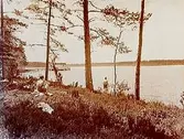 Badplatsen vid Sjön Testen.
Beställningsnr: ST-434.