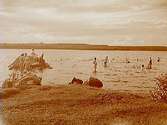Stora Hemsjön, badande vid sjön, badplats.
Beställningsnr: KV-1636.