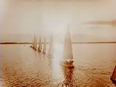 Bogsering av segelbåtar.
S.S.H:s Regata.