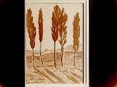 Oljemålning. Motiv: Fem träd, av konstnären Trolle, 1935.
Grosshandlare Albin Rapp