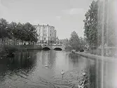Kvarndammen, park vid Svartån.
Stora Hotellet i bakgrunden.
Svanar, gäss och änder i ån.