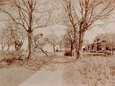 Två st. tvåvånings bostadshus.Timanshytte gård från allén mot gamla vägen.Godsägare H.Larsson.