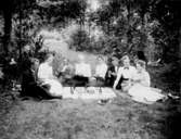 Grupp 8 personer på picknick.
Elion Falk (?)