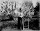 En kvinna i trädgården.Fru Hulda Lindskog