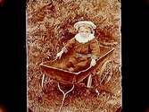 Ett litet barn i vagn.Carl Lindin
