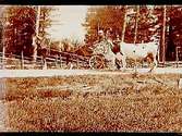 Häst och vagn, två oxar, två personer.
Gustaf Larsson