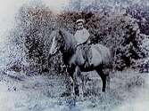 En pojke på ponny.
Ryttmästare R.M. Svartling