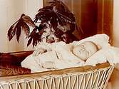 Sovande barn i vagga.
K.J. Uddman