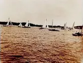 Tio segelbåtar.
Segelsällskapet Hjälmaren.