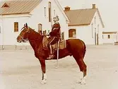 En ryttare i paraduniform och kask.
24 Johansson, Svea Trängkår.