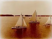 Nio segelbåtar, andra kappseglingen, andra starten.
Segelsällskapet Hjälmaren.