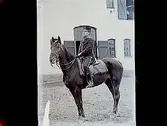 En ryttare till häst
159/2 Bernström.
Kungliga Svea Trängkår.