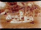 Nio kvinnor på picknick.
Fröken Ester Eriksson, Oskarsvägen 10, Örebro.