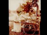 En kvinna med två barn som åker i en tvåhjulig vagn.
Nils Kierkegaard