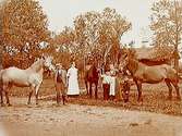 Lågt bostadshus. 5 personer och 3 hästar.Johan Eriksson