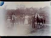 Sex personer och 2 hästar.Edvind Olsson