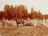 Skördearbete.
3 räfserskor, en man med hästräfsa och 2 män med hötjugor.
Gunnar Hedlund.