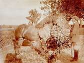 En man med hästen Faradiy.
John Öholm