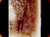 En soldat, hästgardist.
J.A. Valstedt