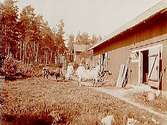 En och en halvvånings bostadshus, ekonomibyggnader.5 personer och 2 kor.Edv. Medin