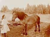 En flicka med en häst.
Hj. Törnkvist