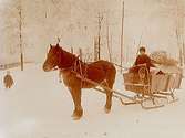Man med häst spänd för släde.E. Jakobsson