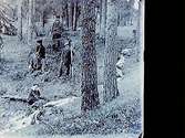 Fyra personer i skogen.Sam Lindskogs familjebild.Två bilder på samma glasplåt.
