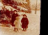 Tre barn. Vintermotiv.Sam Lindskogs familjebild.Två bilder på samma glasplåt.