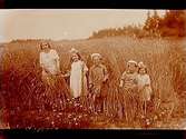 Barnen Lindskog, fem barn.
Sam Lindskogs familjebild.