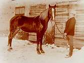 En man och en häst.
Carl G. Carlsson