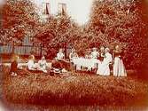 Gruppbild, nio kvinnor och en man dricker kaffe i trädgården.
Rosén