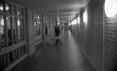Karlsängsskolan Nora 17 okt 1967

En man åker sparkcykel med post i korgen i en korridor.