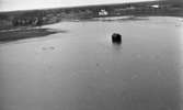 Ervalla översvämning 30 mars 1968

På en översvämmad åker ser man svanar, och ett litet skjul.