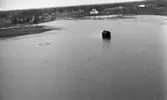 Ervalla översvämning 30 mars 1968

På en översvämmad åker ser man svanar, och ett litet skjul.