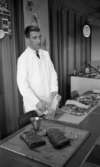 Slakteriet 17 april 1967

En man i vit rock står vid ett bord och styckar kött.