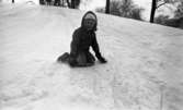Barnträdgård, Tefat är toppen 30 januari 1967

En pojke sitter på knäna på sitt tefat i pulkabacken i Stadsparken.