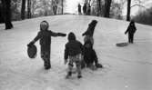 Barnträdgård, Tefat är toppen 30 januari 1967

En pojke i rutiga galonbyxor och jacka med luva står i pulkabacken i Stadsparken och håller i ett snöre till pulkan.
Längst upp i backen står en kvinna i kappa och vita stövlar.
