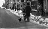 Den första snön 5 nov 1968

Kvinna med barnvagn och hund, gåendes på snöklädd gata i Örebro.