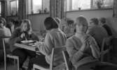 Bespisning Gumaeliusskolan, 19 november 1965

Elever i skolmatsal.