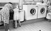 Tvättomat, 13 juli 1965