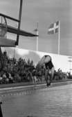 Simlandskampen, 7 augusti 1965

Simmare fångad av kameran i luften i det ögonblick då hon har hoppat från trampolinen med huvudet före och strax kommer att landa i vattnet. Platsen för det hela är en utomhusbassäng. Publik åser simhoppet från en läktare i bakgrunden. Där finns även flaggor på flaggstänger bakom läktaren, bortom muren.