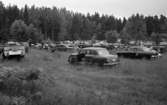 Skrotbilar 10 juli 1965

Massor med skrotade bilar på ett upplag.