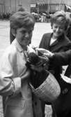 Knytkalaset 5 juli 1965.

Två jubileumsvärdinnor varav den ena håller en korg med en kattunge i famnen. En person klappar kattungen.