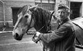 Hästar i stan, 8 juli 1965.

Man poserar med arbetshäst. På mannens uniformsmössa står 