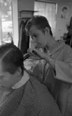 Damfrisörskor 8 juli 1965.

Frisörska kammar yngling.