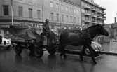 Hästar i stan, 8 juli 1965.

Man kör häst och vagn vid Våghustorget.