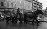 Hästar i stan, 8 juli 1965.

Man kör häst och vagn vid Våghustorget.